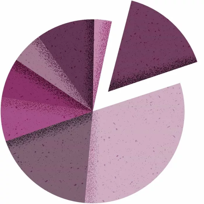 Pie chart with a piece of the pie cut out.